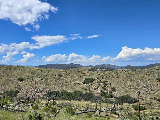 Listing photo 3 for TR-73 31st Trl, Cotopaxi CO 81223