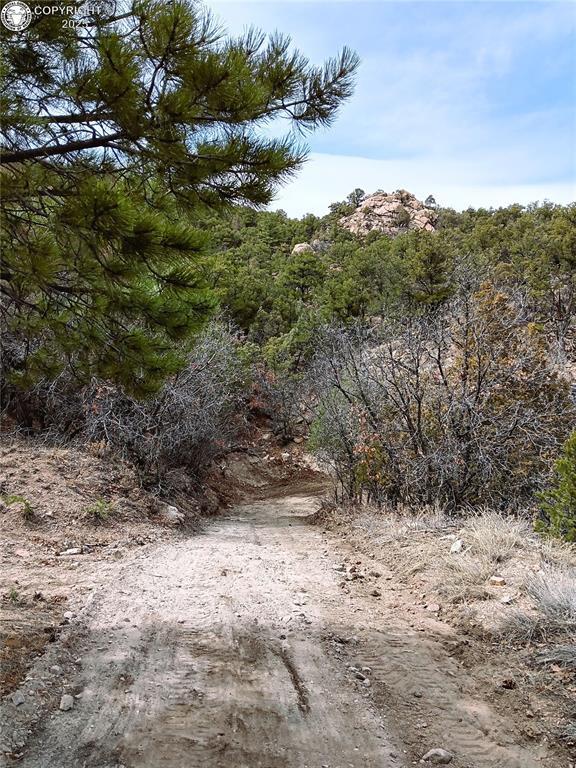 TR3 Mineshaft Pl, Cotopaxi, CO 81223 - photo 15