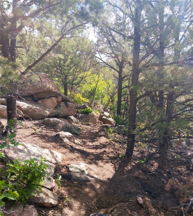 TR3 Mineshaft Pl, Cotopaxi, CO 81223 - photo 5