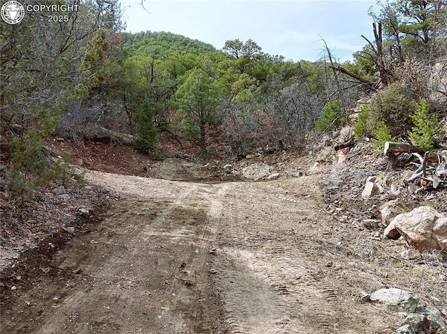 TR3 Mineshaft Pl, Cotopaxi, CO 81223 - photo 17