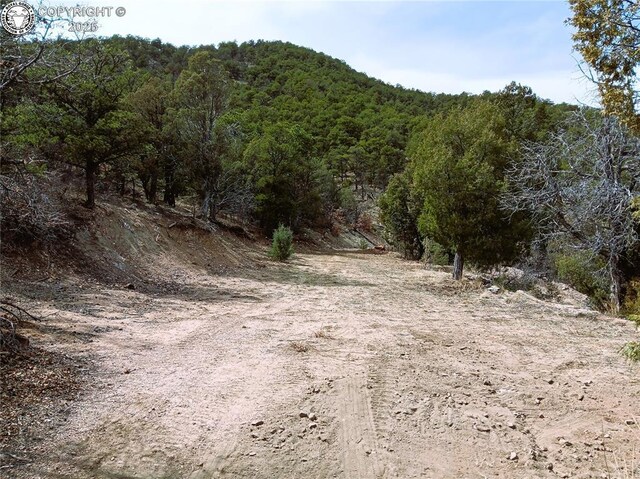 TR3 Mineshaft Pl, Cotopaxi, CO 81223 - photo 1