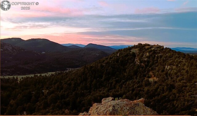 TR3 Mineshaft Pl, Cotopaxi, CO 81223 - photo 20