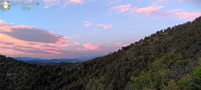 TR3 Mineshaft Pl, Cotopaxi, CO 81223 - photo 2