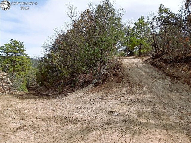TR3 Mineshaft Pl, Cotopaxi, CO 81223 - photo 16