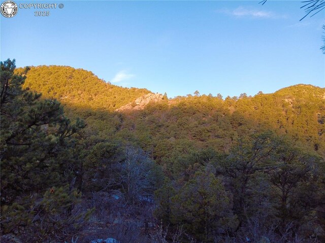 TR3 Mineshaft Pl, Cotopaxi, CO 81223 - photo 6