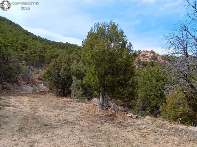 TR3 Mineshaft Pl, Cotopaxi, CO 81223 - photo 14