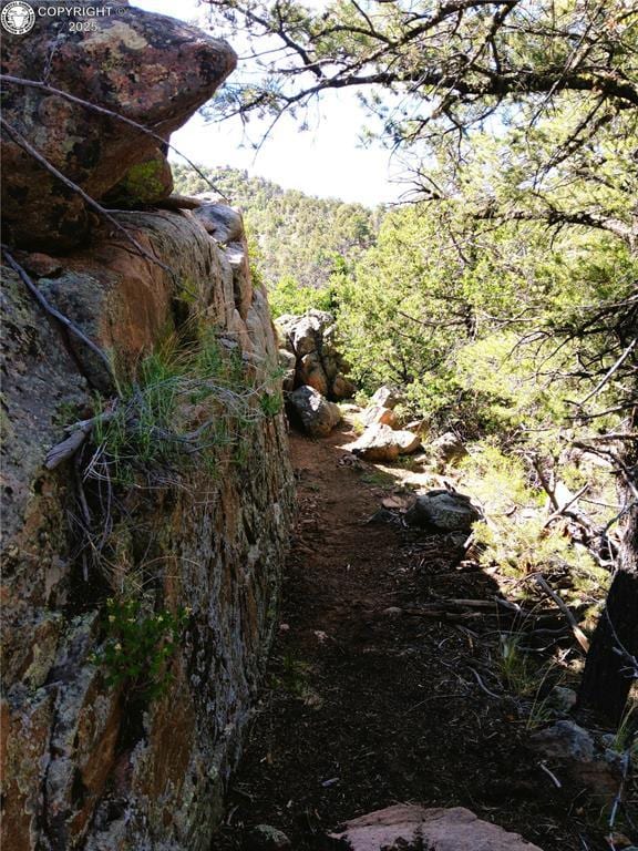 TR3 Mineshaft Pl, Cotopaxi, CO 81223 - photo 4