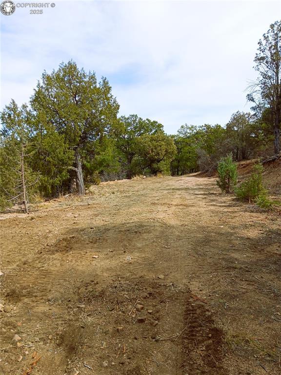 TR3 Mineshaft Pl, Cotopaxi, CO 81223 - photo 11