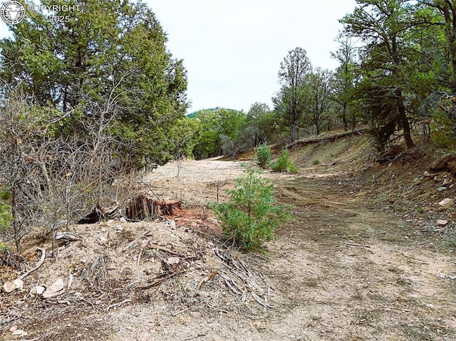 TR3 Mineshaft Pl, Cotopaxi, CO 81223 - photo 12