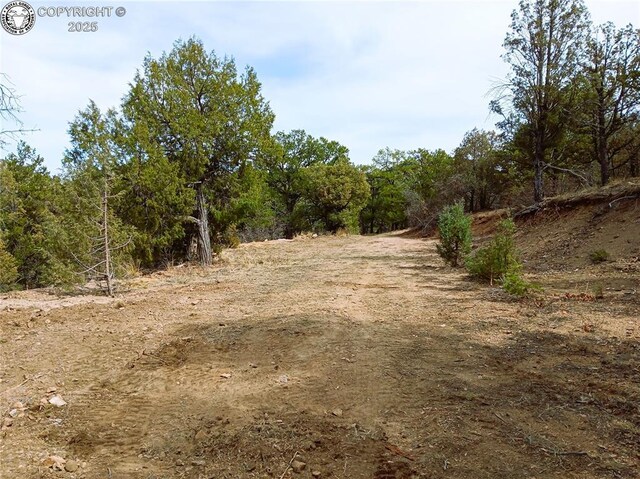 TR3 Mineshaft Pl, Cotopaxi, CO 81223 - photo 10