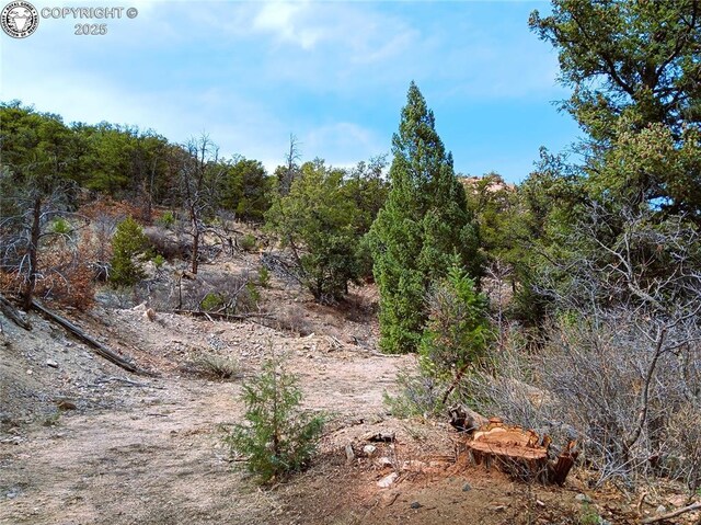 TR3 Mineshaft Pl, Cotopaxi, CO 81223 - photo 9