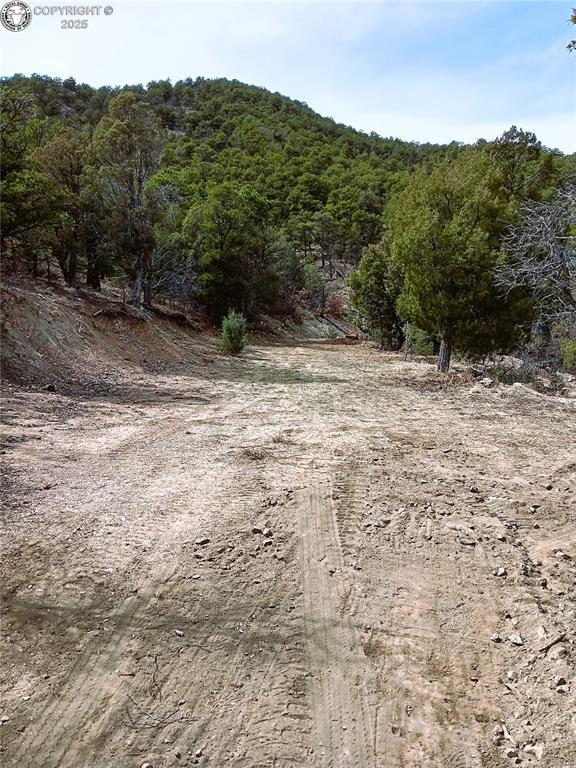 TR3 Mineshaft Pl, Cotopaxi, CO 81223 - photo 8