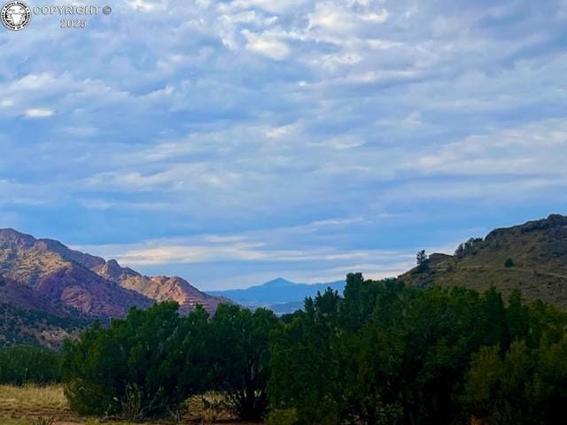 87 Eagle Crest Loop, Canon City, CO 81212 - photo 10