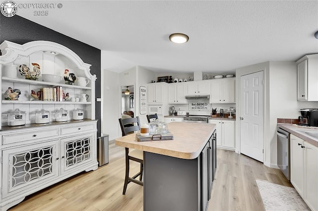 1431 Pine St, Canon City, CO 81212 - kitchen with light wood-type flooring, stainless steel appliances, under cabinet range hood, white cabinetry, and light countertops