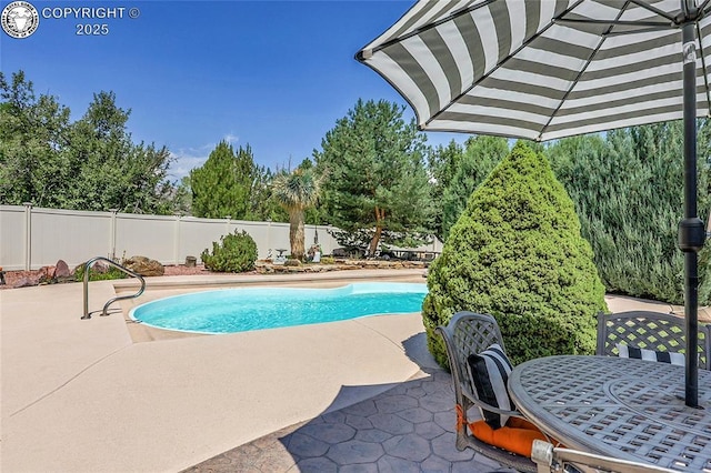 1431 Pine St, Canon City, CO 81212 - view of pool with a patio area and a fenced backyard