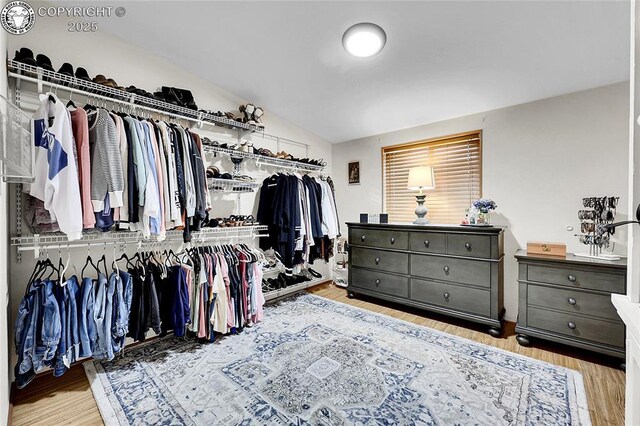 1431 Pine St, Canon City, CO 81212 - spacious closet with wood finished floors and vaulted ceiling