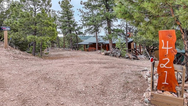 421 Bull Domingo Ln, Westcliffe, CO 81252 - view of yard featuring driveway