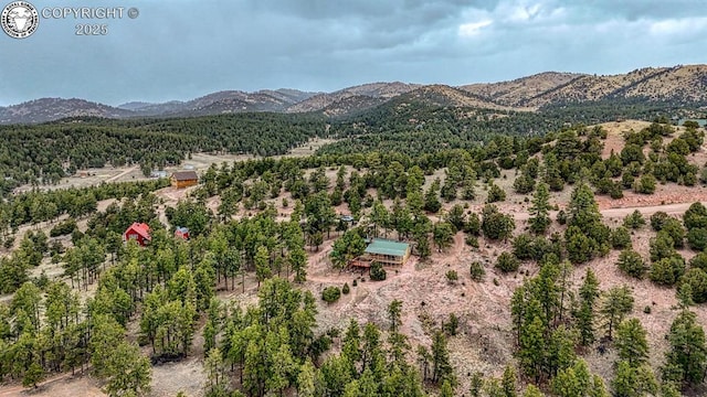 421 Bull Domingo Ln, Westcliffe, CO 81252 - view of mountain backdrop