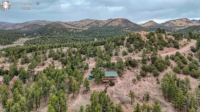 421 Bull Domingo Ln, Westcliffe, CO 81252 - view of mountain backdrop