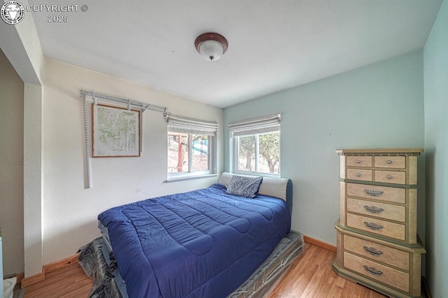 421 Bull Domingo Ln, Westcliffe, CO 81252 - bedroom with wood finished floors