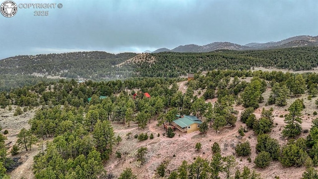 421 Bull Domingo Ln, Westcliffe, CO 81252 - view of mountain backdrop with a heavily wooded area