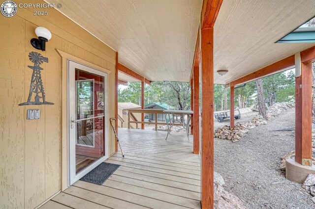 421 Bull Domingo Ln, Westcliffe, CO 81252 - photo 6