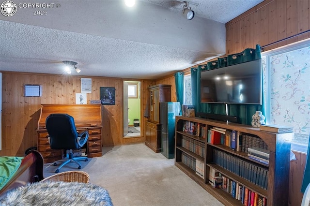 office featuring light carpet, wooden walls, and a textured ceiling