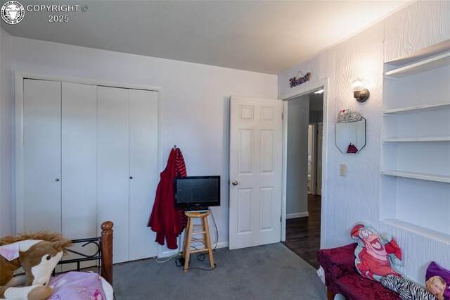 bedroom featuring a closet and carpet