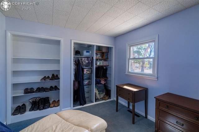 bedroom featuring carpet floors and a closet