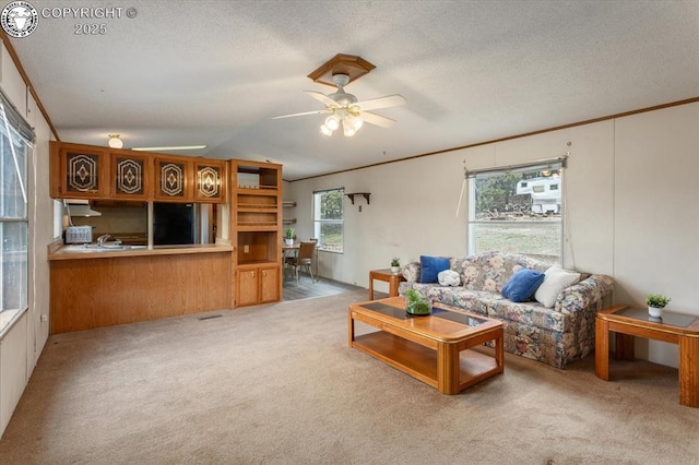 2275 K Path, Cotopaxi, CO 81223 - living room with carpet, ceiling fan, vaulted ceiling, a textured ceiling, and ornamental molding