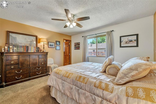 527 Brookeway, Florence, CO 81226 - photo 14