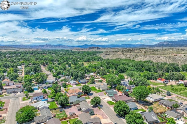 527 Brookeway, Florence, CO 81226 - photo 39
