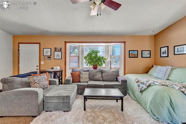 527 Brookeway, Florence, CO 81226 - photo 5