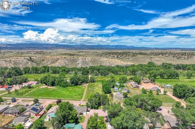 527 Brookeway, Florence, CO 81226 - photo 40