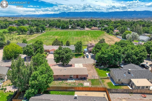527 Brookeway, Florence, CO 81226 - photo 37
