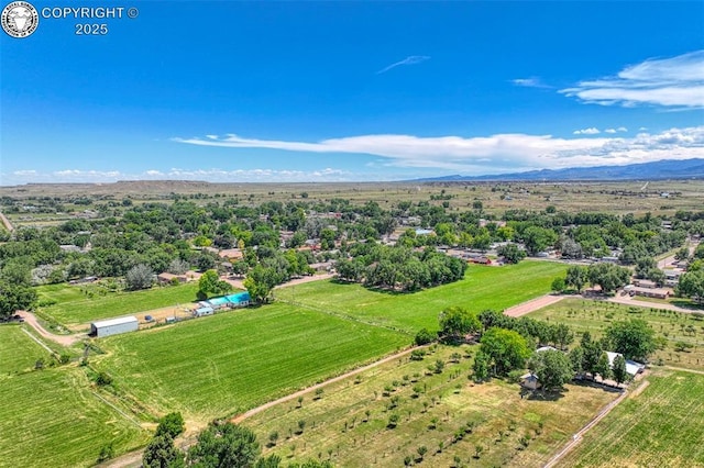 527 Brookeway, Florence, CO 81226 - photo 42