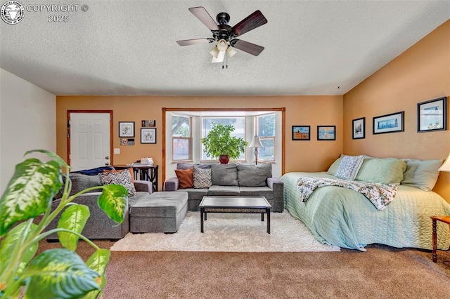 527 Brookeway, Florence, CO 81226 - photo 6