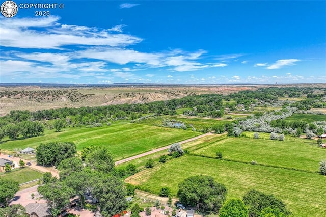 527 Brookeway, Florence, CO 81226 - photo 41