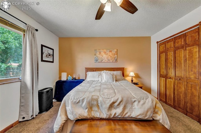 527 Brookeway, Florence, CO 81226 - photo 17