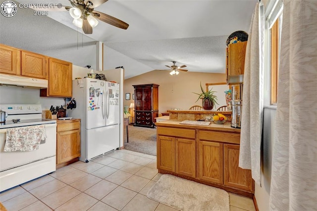 527 Brookeway, Florence, CO 81226 - photo 11