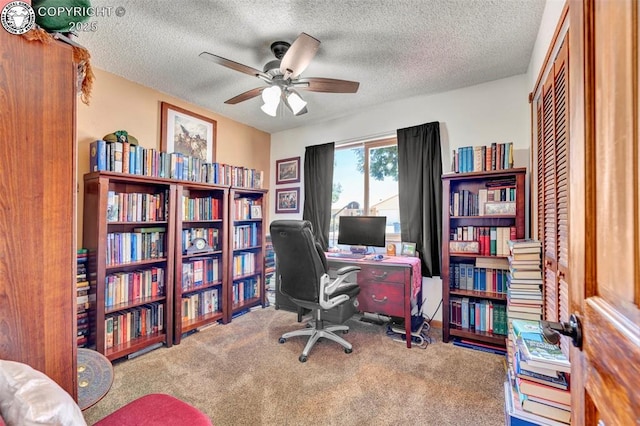 527 Brookeway, Florence, CO 81226 - photo 21