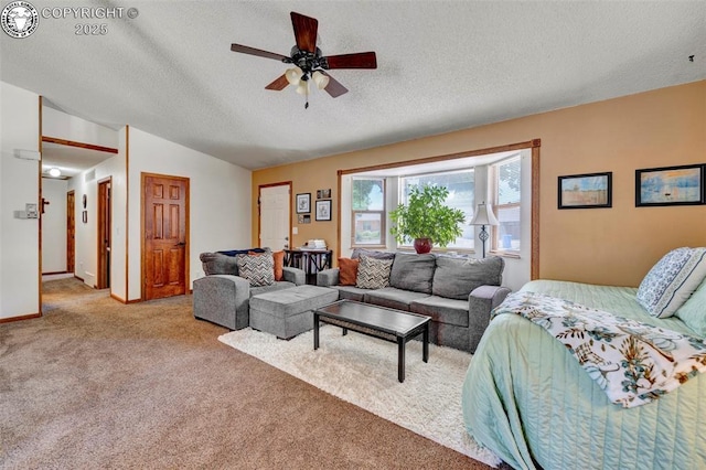 527 Brookeway, Florence, CO 81226 - photo 7