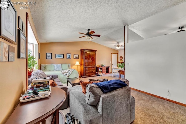527 Brookeway, Florence, CO 81226 - photo 4