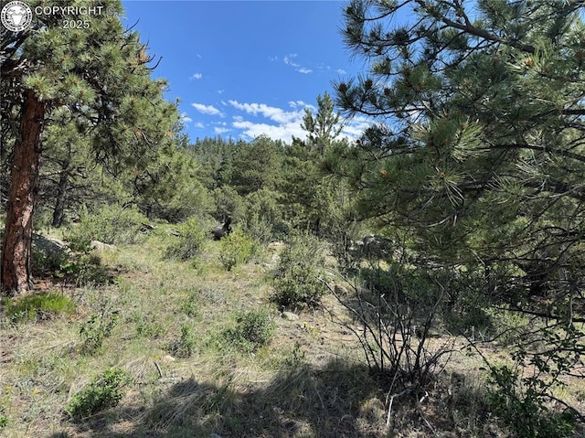 1455 Durfee Cir, Westcliffe, CO 81252 - photo 16