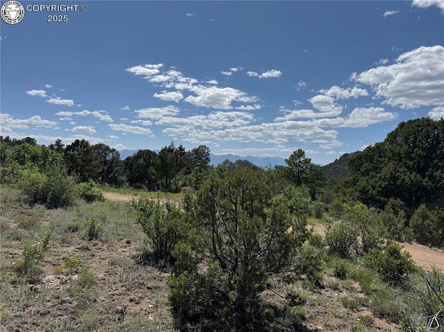 1455 Durfee Cir, Westcliffe, CO 81252 - photo 17