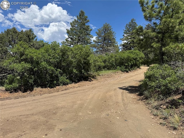 1455 Durfee Cir, Westcliffe, CO 81252 - photo 8