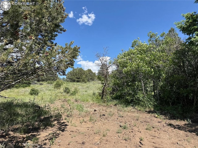 1455 Durfee Cir, Westcliffe, CO 81252 - photo 19