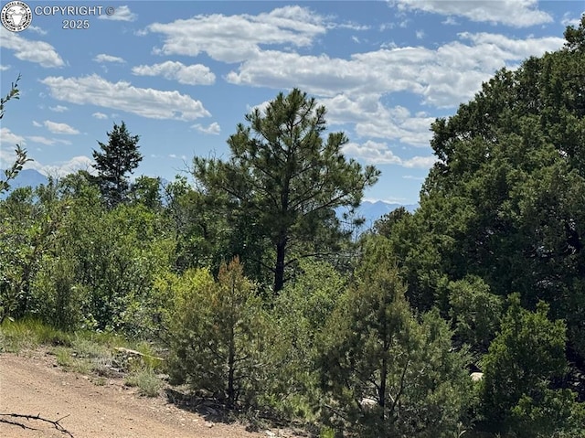 1455 Durfee Cir, Westcliffe, CO 81252 - photo 14