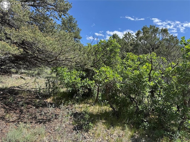 1455 Durfee Cir, Westcliffe, CO 81252 - photo 13