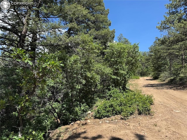 1455 Durfee Cir, Westcliffe, CO 81252 - photo 3